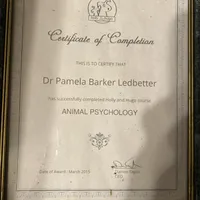 Bobby/Therapy ESA dog, a male Yorkshire Terrier for sale in Maumee, OH – Photo 10 of 10