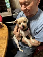 processed/a130c95f-68c0-4fe5-bb0a-a93f962b7447/listing/ac149087-2e64-486e-8cd2-3cd6de9bf453/9e1a6bab-76c0-4a57-8b20-e4fcd327f756