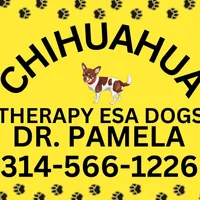 Bobby/Therapy ESA dog, a male Yorkshire Terrier for sale in Maumee, OH – Photo 4 of 10