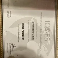 Bobby/Therapy ESA dog, a male Yorkshire Terrier for sale in Maumee, OH – Photo 9 of 10