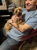 processed/a130c95f-68c0-4fe5-bb0a-a93f962b7447/listing/b152b358-7281-4a32-af9b-861d2262f7b5/3072f1ca-55e3-4656-9d2f-415a155fbcea