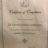 Benji / Therapy ESA dog, a male Yorkshire Terrier for sale in Maumee, OH – Photo 5 of 6