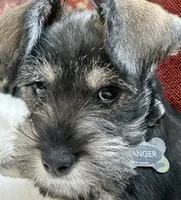 processed/a13dcca7-1ce4-4a03-ada8-a0f7f494831e/facility/456ca620-a729-40a1-b8f6-66ec6d9aadd2