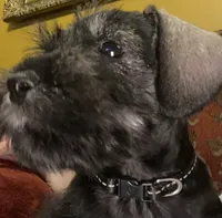 processed/a13dcca7-1ce4-4a03-ada8-a0f7f494831e/facility/99e61b00-083c-4214-9724-96b844b2d4ff