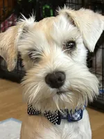 processed/a13dcca7-1ce4-4a03-ada8-a0f7f494831e/facility/a3637c7a-aced-4d0d-8a3b-2eb837d8e46f