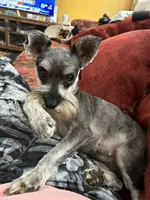 processed/a13dcca7-1ce4-4a03-ada8-a0f7f494831e/facility/b29b8f84-9279-4107-9b55-b725780780c0