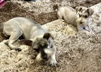 processed/a13dcca7-1ce4-4a03-ada8-a0f7f494831e/facility/d5d68b70-ed67-4141-937c-24a8d6b16b8f