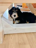 processed/a1432e30-81f6-4ea0-adc4-ad537ff9908a/listing/c5db3398-f102-47a9-97d4-4d9ba80e759e/3e5b799a-0744-40b4-bc57-8510511ecf97