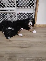 processed/a1432e30-81f6-4ea0-adc4-ad537ff9908a/listing/c5db3398-f102-47a9-97d4-4d9ba80e759e/5559291d-da20-48ed-b8ec-9f52465779b8