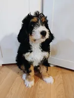 processed/a1432e30-81f6-4ea0-adc4-ad537ff9908a/listing/c5db3398-f102-47a9-97d4-4d9ba80e759e/61fd84cc-ad93-4480-bc50-20ea38a951c4