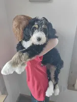 processed/a1432e30-81f6-4ea0-adc4-ad537ff9908a/listing/c5db3398-f102-47a9-97d4-4d9ba80e759e/7d39696c-5975-4437-a742-a24a8e70603c