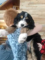 processed/a1432e30-81f6-4ea0-adc4-ad537ff9908a/listing/c5db3398-f102-47a9-97d4-4d9ba80e759e/89849a13-69a0-4315-bbde-13e6411855cb