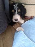 processed/a1432e30-81f6-4ea0-adc4-ad537ff9908a/listing/c5db3398-f102-47a9-97d4-4d9ba80e759e/907415cc-cba2-4d8c-a90c-3364215d4c03