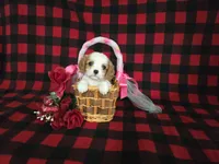 processed/a143fde3-21e9-41d8-baf2-8932ff4e6d8a/listing/2f7f9b05-8cc9-4e3a-9792-20a454aafc8d/4a62c703-f10e-4df0-b37d-be95781fd06d