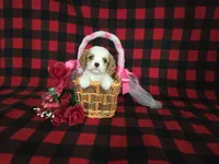 processed/a143fde3-21e9-41d8-baf2-8932ff4e6d8a/listing/2f7f9b05-8cc9-4e3a-9792-20a454aafc8d/7924febe-96da-41e2-92b1-b53672808e76