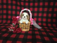 processed/a143fde3-21e9-41d8-baf2-8932ff4e6d8a/listing/2f7f9b05-8cc9-4e3a-9792-20a454aafc8d/8d7811b8-f97b-490f-82e0-68ad8967e555