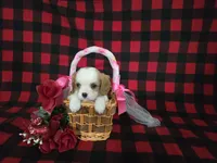 processed/a143fde3-21e9-41d8-baf2-8932ff4e6d8a/listing/2f7f9b05-8cc9-4e3a-9792-20a454aafc8d/b7740315-d651-438d-8fbc-468cf90422e3