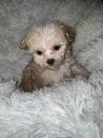 processed/a144d8d3-3a91-4a82-b0da-e26cb76c566d/listing/cc39bb01-6c7e-4c98-aad3-ec4e183bec2a/28023681-48d0-4684-a778-744030780cfd