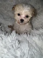 processed/a144d8d3-3a91-4a82-b0da-e26cb76c566d/listing/cc39bb01-6c7e-4c98-aad3-ec4e183bec2a/6b2532fc-d43a-4670-a8a0-38665e1385a4