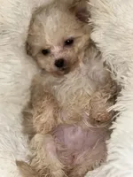 processed/a144d8d3-3a91-4a82-b0da-e26cb76c566d/listing/cc39bb01-6c7e-4c98-aad3-ec4e183bec2a/81911bd7-d76b-4a16-94f7-6f0cff495da1