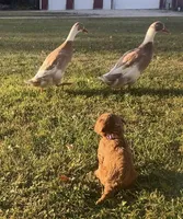 processed/a15180f0-3499-4412-9582-4c1ed942e290/facility/0393b17d-0643-4391-a8a8-e29d50025b71