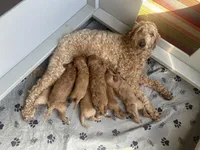 processed/a15180f0-3499-4412-9582-4c1ed942e290/facility/060fabfe-f0f7-4934-a420-1a01f4c13f9e