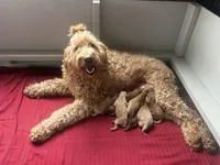 processed/a15180f0-3499-4412-9582-4c1ed942e290/facility/0b96bcf2-3a39-491b-9f5f-17f64bfd4363