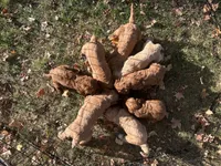 processed/a15180f0-3499-4412-9582-4c1ed942e290/facility/31b61ed1-1773-491e-9955-cc2d9b7c8078