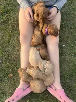 processed/a15180f0-3499-4412-9582-4c1ed942e290/facility/43ff126c-e52e-4706-a9d9-4d70cb9f2c19