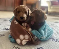 processed/a15180f0-3499-4412-9582-4c1ed942e290/facility/baef532f-4b28-49ec-b8b3-0862b83967fd