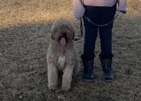 processed/a15180f0-3499-4412-9582-4c1ed942e290/facility/c489bf01-69de-4830-a377-80c0bd1983f7