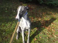 processed/a16207b7-9352-43d6-9240-3b4a45d804f7/listing/093b0b8f-bc02-4037-94c3-37047229ed8f/35d8df77-47e8-43d7-bb9f-d773bb86a02d