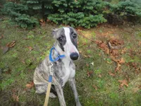 processed/a16207b7-9352-43d6-9240-3b4a45d804f7/listing/093b0b8f-bc02-4037-94c3-37047229ed8f/d0944425-9b7f-4a20-9f47-973db50abf26