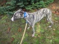 processed/a16207b7-9352-43d6-9240-3b4a45d804f7/listing/093b0b8f-bc02-4037-94c3-37047229ed8f/f5d34104-9f7e-4b08-a75a-eed705d9528e