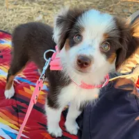 processed/a16529d2-b618-4470-8a90-71014638b164/facility/37cd6cac-17ac-4c03-81a5-fd3e0da6ec02