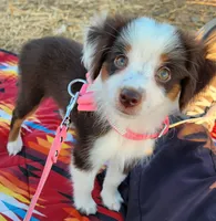 processed/a16529d2-b618-4470-8a90-71014638b164/facility/37cd6cac-17ac-4c03-81a5-fd3e0da6ec02