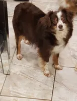 processed/a16529d2-b618-4470-8a90-71014638b164/listing/2b367498-d314-4b29-bbf5-37f1ef9205f1/e6587ab8-4bba-4fc1-bfe5-813d509e49f1