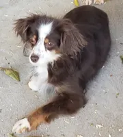 processed/a16529d2-b618-4470-8a90-71014638b164/listing/2b367498-d314-4b29-bbf5-37f1ef9205f1/fc7b7bb6-e7cc-480e-8116-46808f1478f8