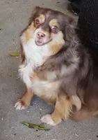 processed/a16529d2-b618-4470-8a90-71014638b164/listing/8168cd82-3ae4-4e78-aab3-de02f30cab48/6ae59616-2035-41ed-ac54-12f22ca20b30