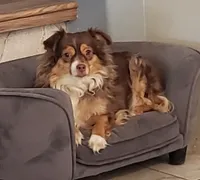 processed/a16529d2-b618-4470-8a90-71014638b164/listing/8168cd82-3ae4-4e78-aab3-de02f30cab48/e017b5ec-37f7-4166-8d66-8c7d267cb16e