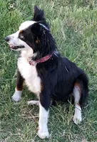 processed/a16529d2-b618-4470-8a90-71014638b164/listing/aed4055f-16b0-4534-83e9-ddffcbc2662b/01732bdc-0bba-4d95-8ce5-f9cac660565e