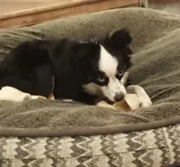 processed/a16529d2-b618-4470-8a90-71014638b164/listing/aed4055f-16b0-4534-83e9-ddffcbc2662b/0d20314f-197e-4ecc-8d17-c2bd58e12e7e