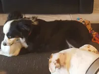 processed/a16529d2-b618-4470-8a90-71014638b164/listing/aed4055f-16b0-4534-83e9-ddffcbc2662b/2c82423a-7752-468d-8405-3c6835497720