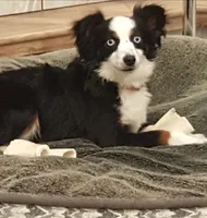 processed/a16529d2-b618-4470-8a90-71014638b164/listing/aed4055f-16b0-4534-83e9-ddffcbc2662b/d446488f-fd41-4e93-8f84-c486a4a83837