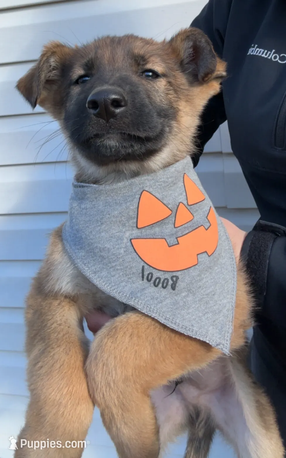 processed/a167655a-d47c-4596-a45d-4d188b9928b1/listing/d63c3d9a-3262-40e2-94df-bae5200aeebc/29c80e99-5d7b-4550-a5cf-a50f1f9f04cb