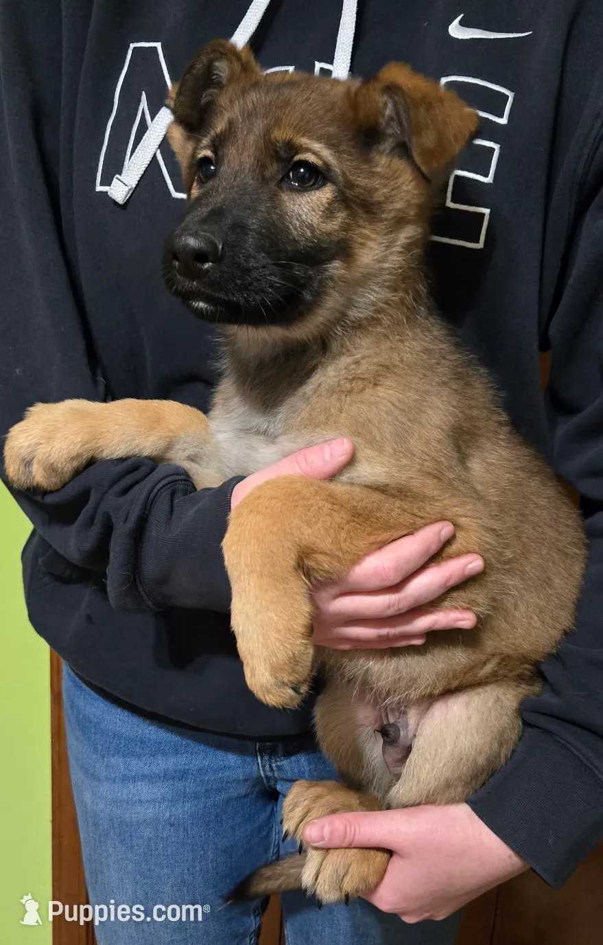 processed/a167655a-d47c-4596-a45d-4d188b9928b1/listing/d63c3d9a-3262-40e2-94df-bae5200aeebc/6b771687-bdd0-480e-8bfb-bba3b5db16a5