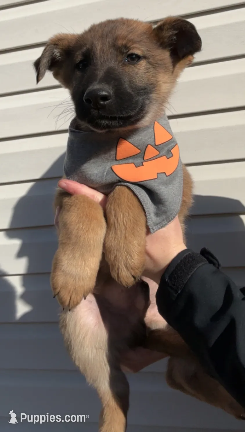 processed/a167655a-d47c-4596-a45d-4d188b9928b1/listing/d63c3d9a-3262-40e2-94df-bae5200aeebc/7504e96e-2763-47c7-8926-715f6426a546