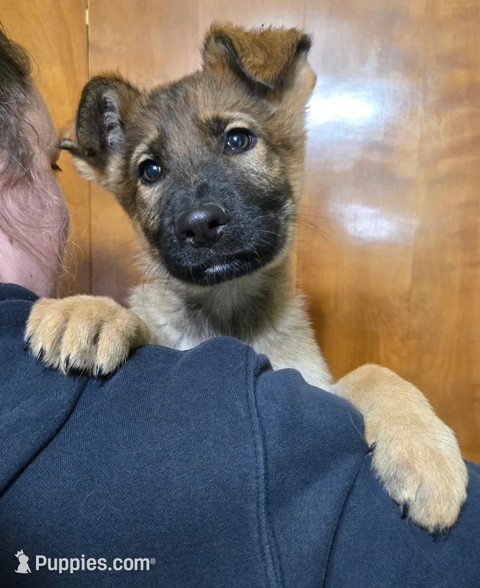 processed/a167655a-d47c-4596-a45d-4d188b9928b1/listing/d63c3d9a-3262-40e2-94df-bae5200aeebc/c3a60507-a759-4fa0-9951-726f91b3f12e