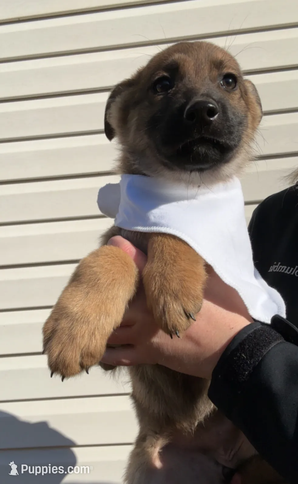 processed/a167655a-d47c-4596-a45d-4d188b9928b1/listing/dea34209-0a39-4eba-a680-8e31200cff22/241e3e62-272f-4c4e-985d-c4a764430fa6