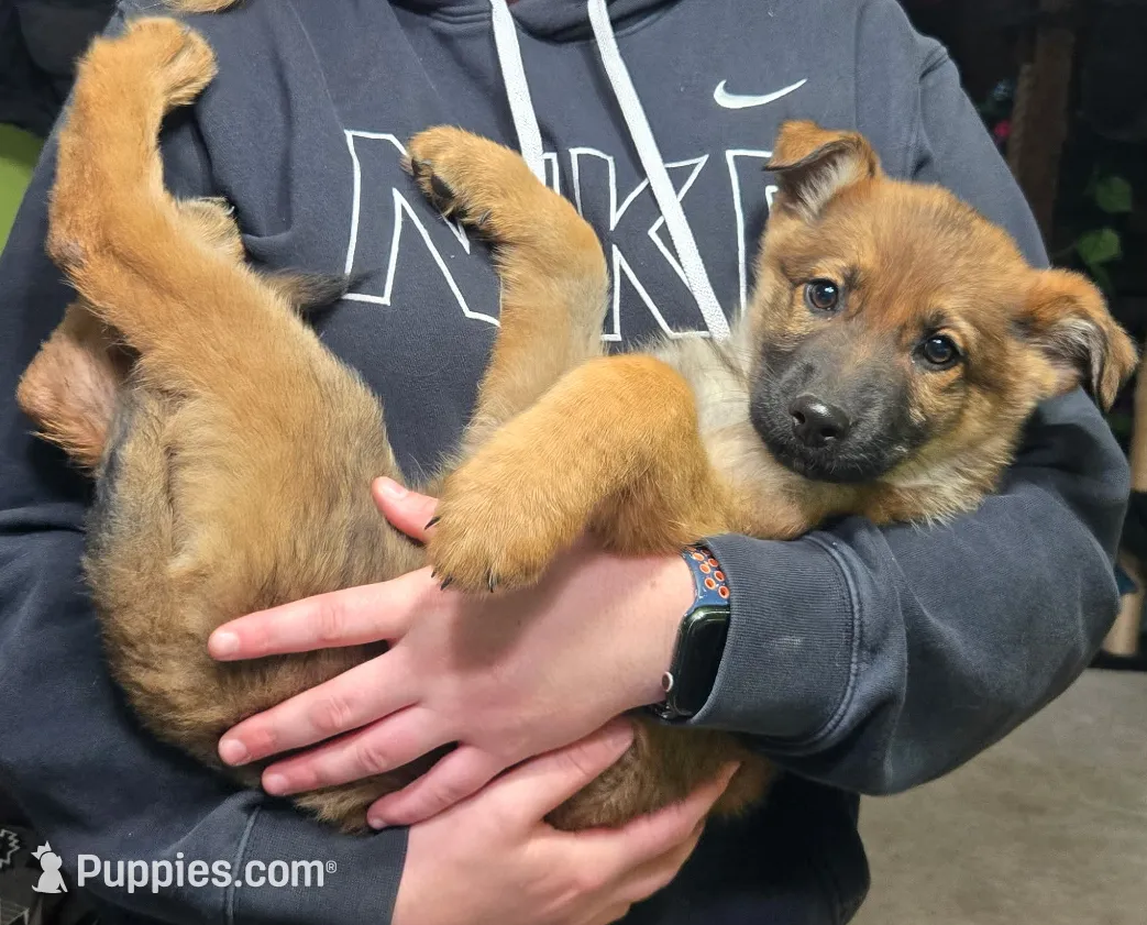 processed/a167655a-d47c-4596-a45d-4d188b9928b1/listing/dea34209-0a39-4eba-a680-8e31200cff22/2605c6d5-cdeb-44d3-b31a-7efbd9b68bdb